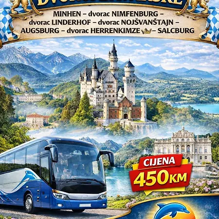 -delfin Travel